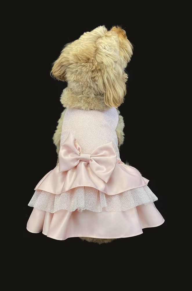Hand-made dog outfit by DoggieByDesign, Brides of Bond Street