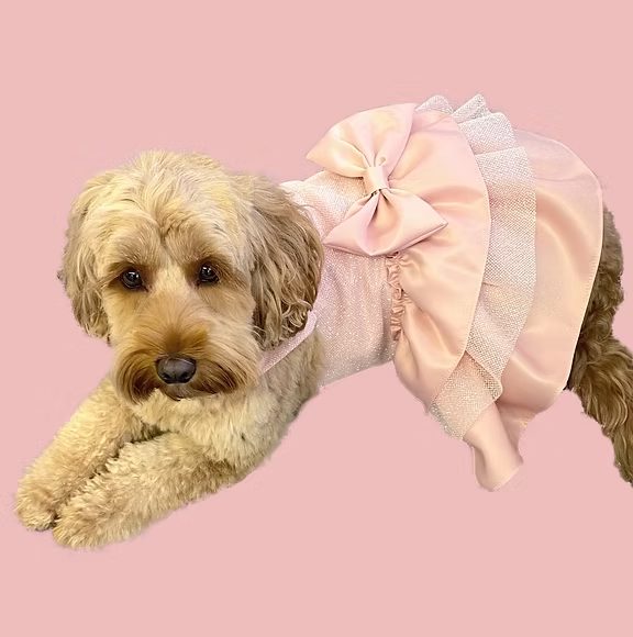 Hand-made dog outfit by DoggieByDesign, Brides of Bond Street