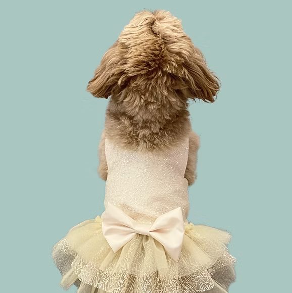Hand-made dog outfit by DoggieByDesign, Brides of Bond Street